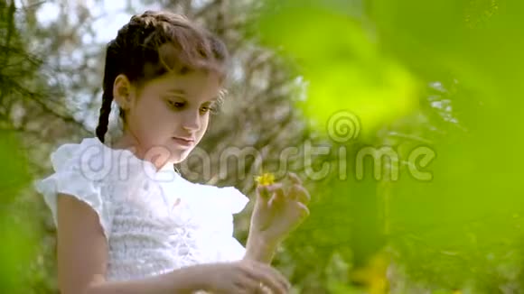 美丽的9岁女孩在美丽的大自然中扎着辫子视频的预览图