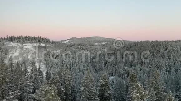 4k空中观景飞越森林在五彩缤纷的日出处展现雪谷视频的预览图