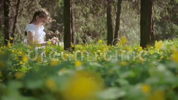 一个9岁的女孩独自在森林里认为是一朵花视频的预览图
