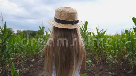 漂亮的小女孩戴着草帽站在玉米地转向相机微笑着一个长着金发的小男孩视频的预览图