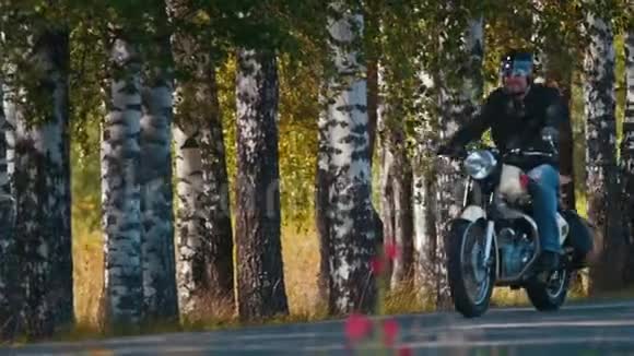 一个野蛮的摩托车手在白桦林里开车视频的预览图