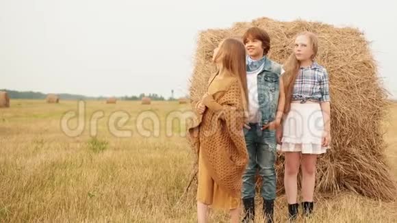 三个少年站在田野的干草堆旁望着天空视频的预览图