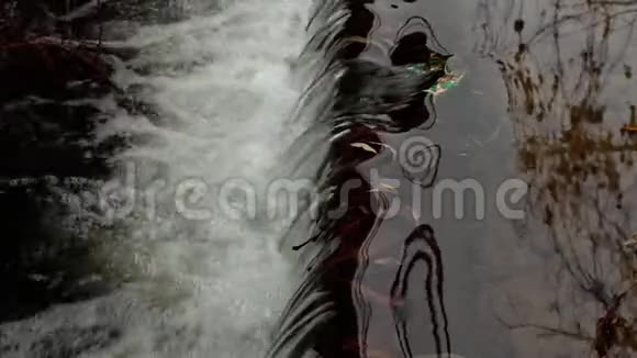 秋季公园的水门槛视频的预览图