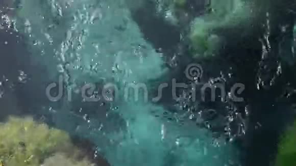 美丽晶莹的清水泉绿色能源锡里卡尔特或阿尔巴尼亚的蓝眼受欢迎的旅游景点d视频的预览图