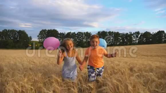 几个抱着气球的快乐小孩在麦田里慢跑小女孩和小男孩手牵手视频的预览图