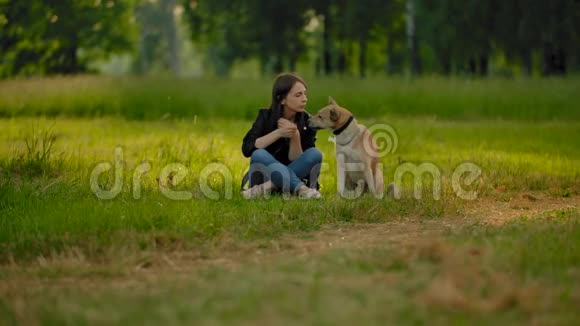 公园里的一个年轻女孩和她的狗交流抚摸着她的头在她的耳朵后面抓挠视频的预览图