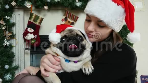 女人拥抱穿圣诞服装的滑稽小狗戴圣诞帽背景礼物视频的预览图