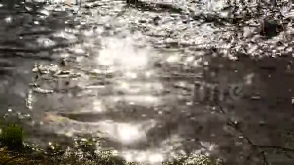 光线反射的小溪视频的预览图