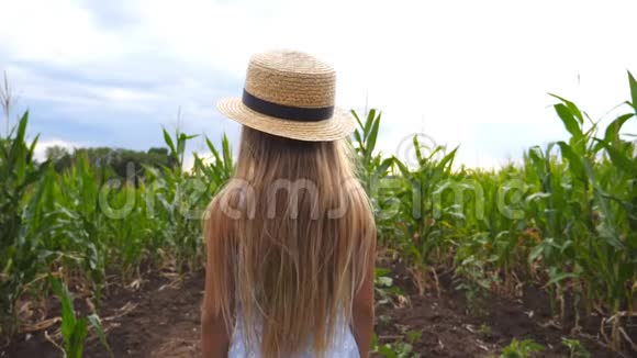 一个戴着草帽的漂亮小女孩站在玉米田边转过身来微笑着一个小男孩视频的预览图