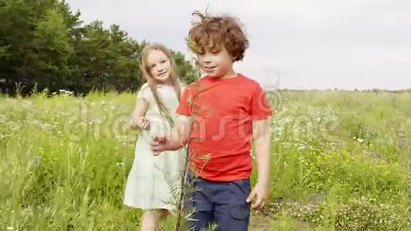 年轻的女孩和男孩在村庄的绿色草地上看花和种植小妹妹和哥哥走着视频的预览图