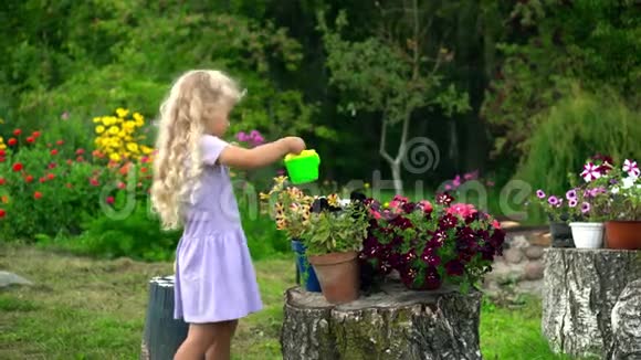 一个漂亮的小女孩金发碧眼在花盆里浇水视频的预览图