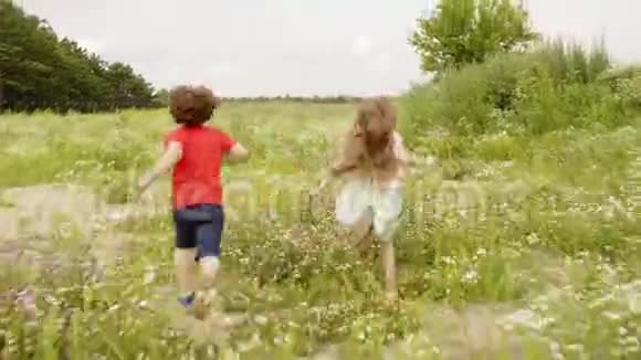 男孩和女孩在夏村的绿色田野上奔跑弟弟妹妹在开花的草地上奔跑快乐视频的预览图