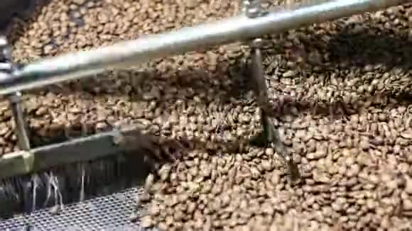 经过烘焙后新鲜的烤咖啡阿拉伯豆已经冷却下来视频的预览图