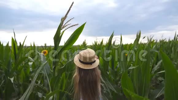 美丽的小女孩戴着草帽穿过玉米地转向相机微笑着快乐的小家伙视频的预览图