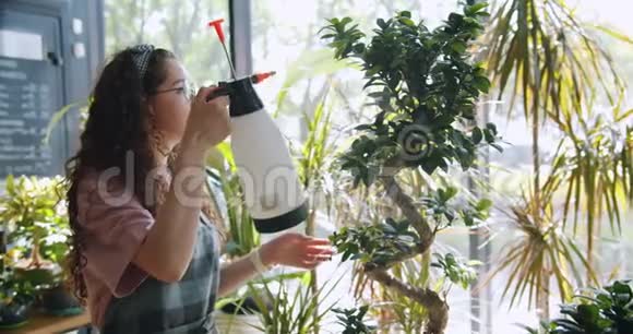花店的工人年轻的女人用水和微笑喷洒绿色植物视频的预览图