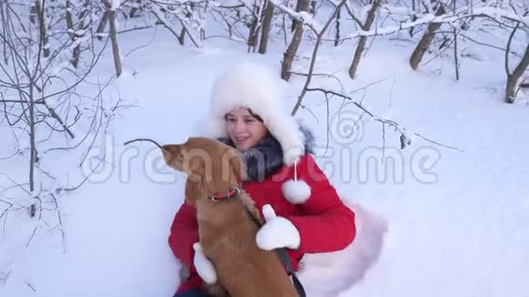 漂亮的女孩和狗在雪地里玩耍冬天在森林里遛猎狗的孩子女主人爱她视频的预览图