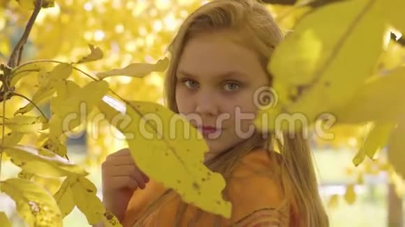 特写一个可爱的金发白种人女孩穿着芥末围巾摆在镜头前有长发和绿眼睛的孩子视频的预览图