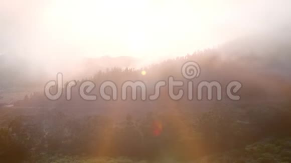 山间黄雾日出有松树林和山峦轮廓的风景画视频的预览图