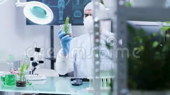 现代实验室样品试验植物的生物学家分析视频的预览图