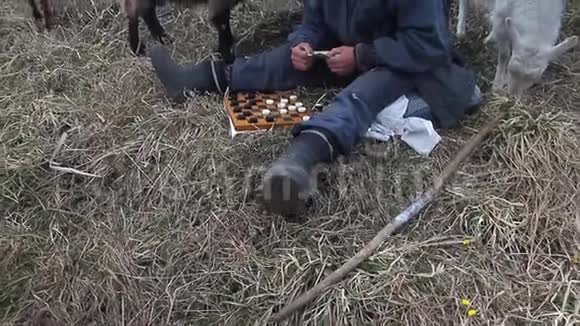 一位衣衫褴褛的老人坐在山上玩跳棋在一片枯败的土地上放牧着一群自己的山羊视频的预览图