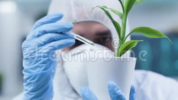 在他的工作场所进行植物测试时关闭生物化学家的静态镜头视频的预览图