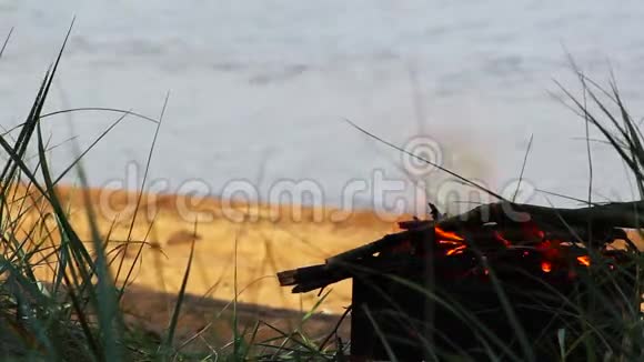 在海边做饭用的篝火金属火盆里的木柴在沙滩上燃烧着明亮的火焰火焰篝火视频的预览图
