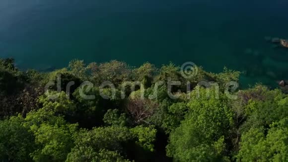 在绿松石海附近的树梢上飞过视频的预览图