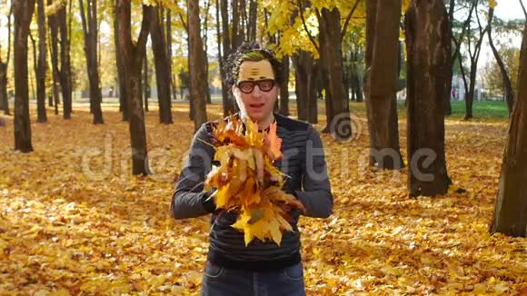 有趣的家伙扔了一堆枫叶像狗一样快乐在秋天的公园阳光明媚的一天一片树叶飘落在小镇上视频的预览图