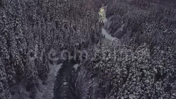 飞越冬季森林和河流视频的预览图