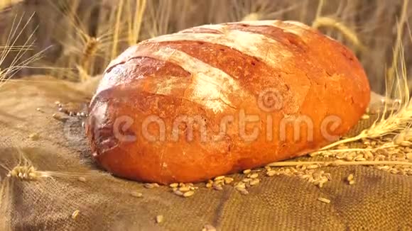 美味的面包躺在一个装满玉米和小麦的袋子上的田野里烤面包麦田管理业务概念视频的预览图