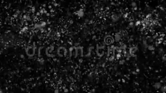 黑色背景高清大片几何雪花视频的预览图