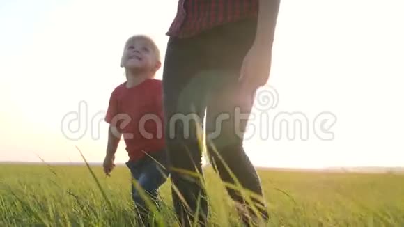 日落时分一位年轻的母亲和她的金发女儿在清新的空气中散步幸福的一家人走在绿草上视频的预览图