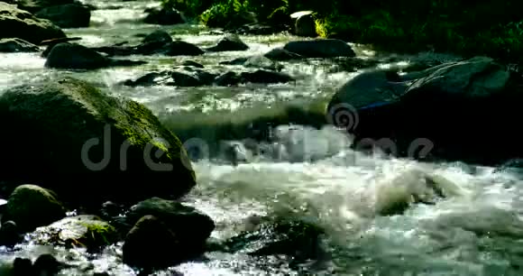 强而危险的水在一座森林山上下大雨后流动视频的预览图