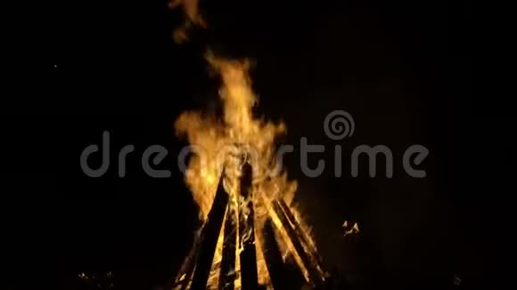 晚上的篝火视频的预览图