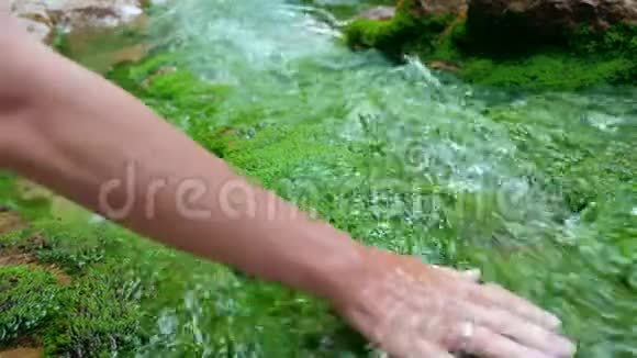 女人手抚摸着生长在清澈透明的山河水中的苔藓视频的预览图