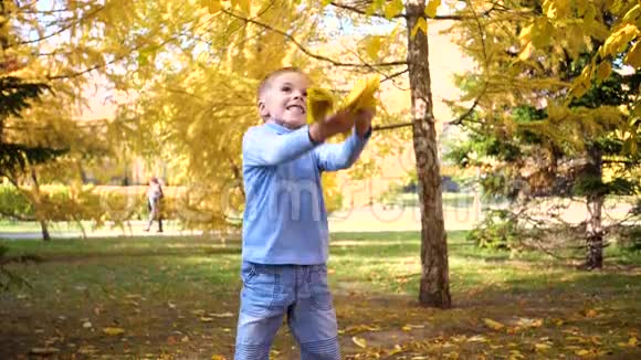秋天公园里的一个孩子把黄色的叶子扔到空中笑着笑着开心的孩子视频的预览图