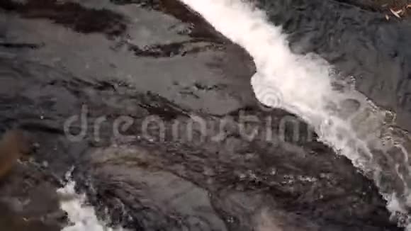 水流秋江公园视频的预览图