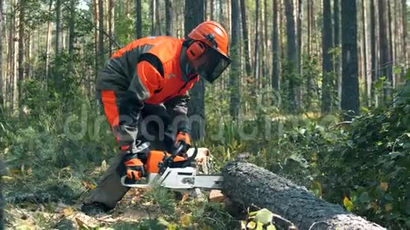 樵夫正在用电锯砍树砍伐森林森林砍伐理念视频的预览图