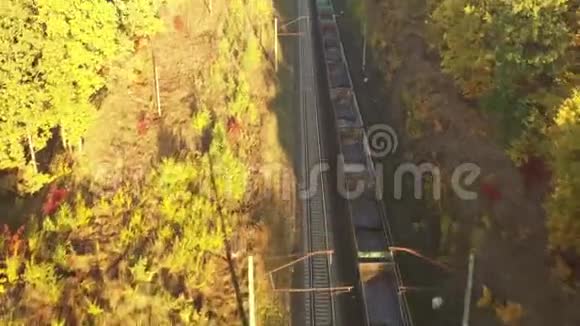 火车在黎明时分穿过森林阳光阳光照亮了森林上空的雾气视频的预览图