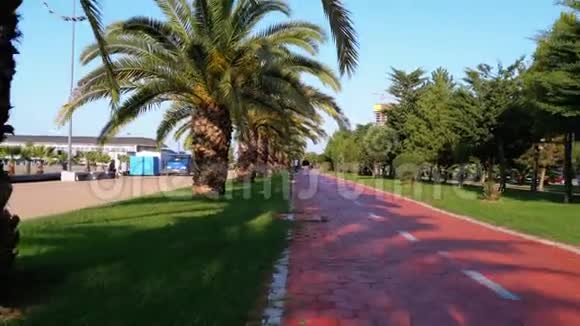 在公园里用棕榈树沿着红色自行车道骑行第一人称观景视频的预览图