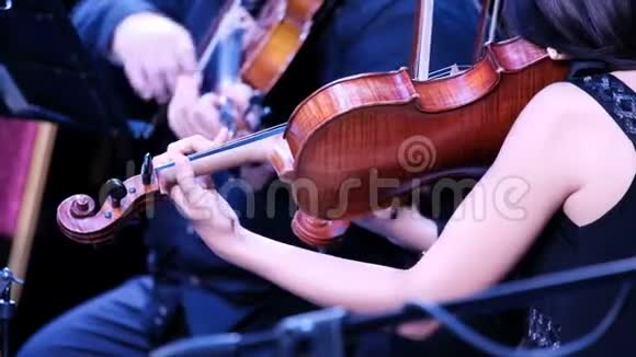 在古典音乐交响乐团演奏时女演奏小提琴背景中的小提琴人最后报告视频的预览图