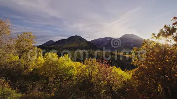 秋天的景色有山峰黄色的白杨林和日落时的秋色视频的预览图