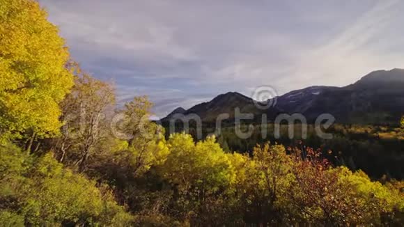 秋天的景色有山峰黄色的白杨林和日落时的秋色视频的预览图