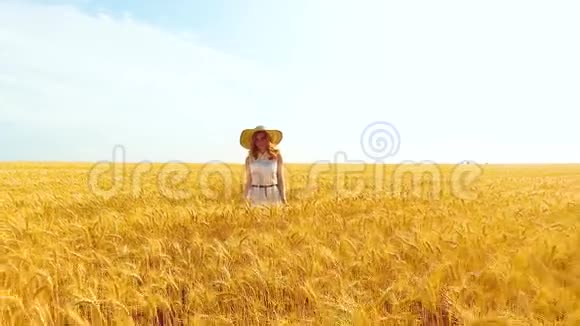 夏季在麦田里美女在成熟的麦穗间散步视频的预览图
