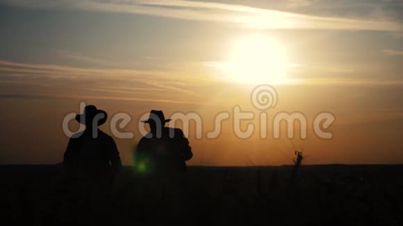 农业耕作两个农民男子团队在一片田野上剪影红脖子在日落时检查小麦作物男性农民视频的预览图