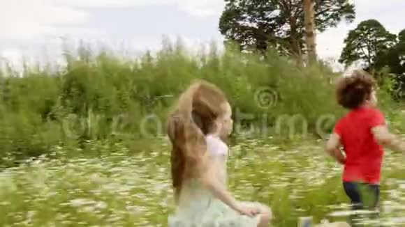 快乐的孩子们在夏村盛开的田野上奔跑一个夏天活泼开朗的女孩和男孩在开花的草地上奔跑视频的预览图