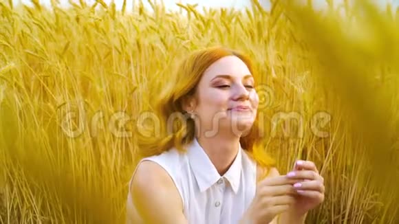 年轻浪漫的红发女人在金色麦田里玩麦穗视频的预览图