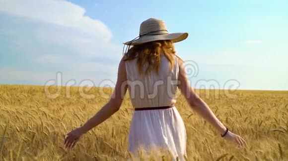 夏季在麦田上行走的年轻女子的后景视频的预览图