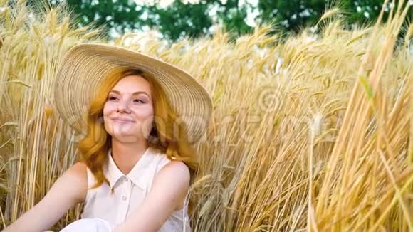 夏天坐在麦田里快乐的年轻红发女子画像视频的预览图