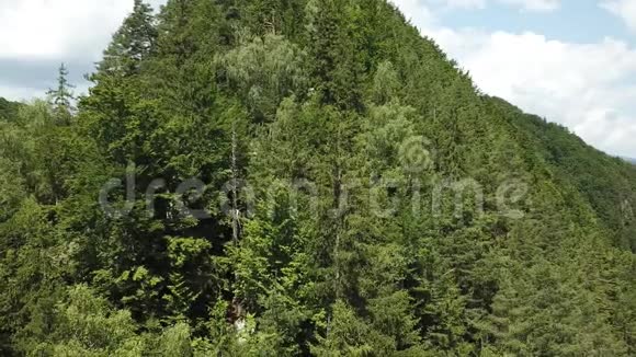 在喀尔巴阡山脉上空飞翔森林和绿山峰的美丽展现视频的预览图